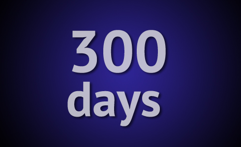 300 дней